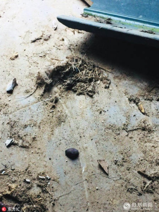 西雙版納隕石墜落