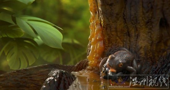 發現一億年前蛙類琥珀化石