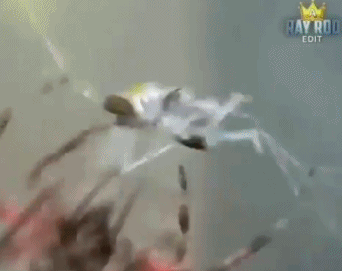 內馬爾翻滾遭惡搞