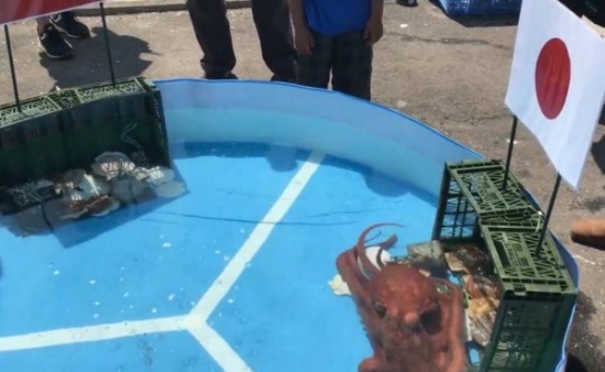 預言帝章魚哥被煮