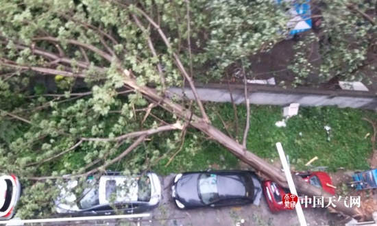 福州臺風瑪莉亞