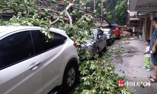 福州臺風瑪莉亞