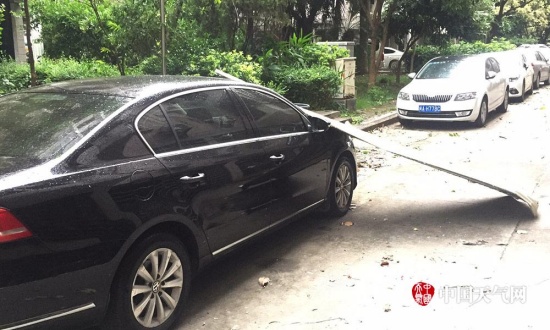 福州臺風瑪莉亞