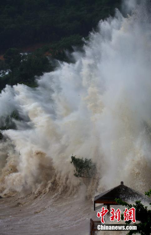 蒼南漁寮金沙灘巨浪
