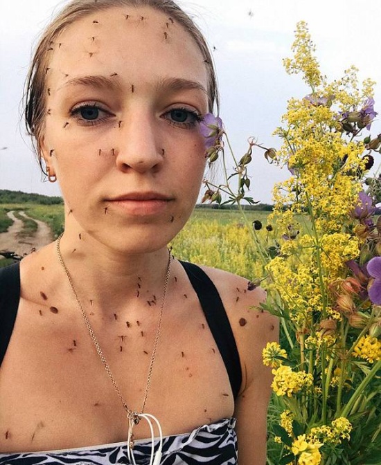 自拍滿臉蚊子照