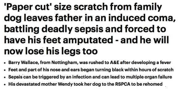 被愛犬舔舐后截肢