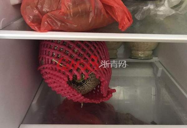 女子被菜市場通緝