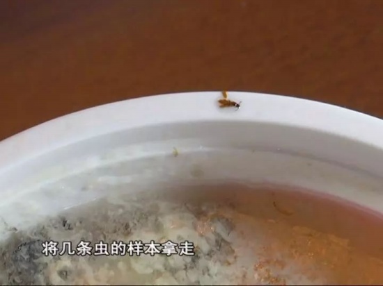 外賣吃出20多條蟲