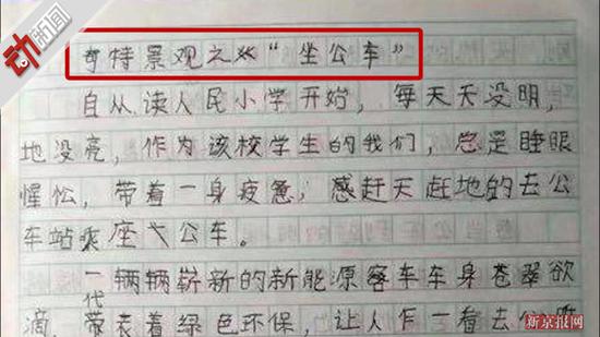 小學(xué)生作文神吐槽