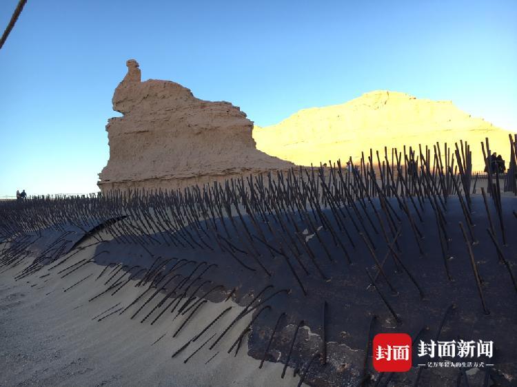敦煌景區擺刺猬陣