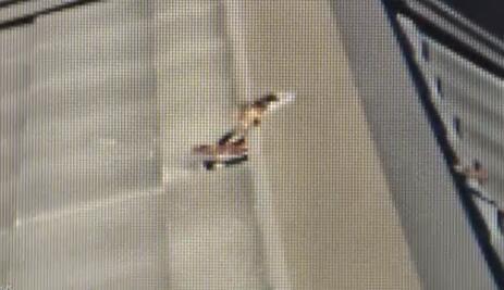 45億年隕石從天而降