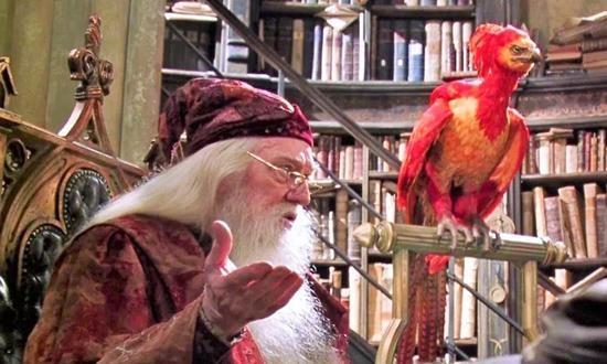 上古神獸圈粉無數(shù) 神奇動物2上古神獸騶吾