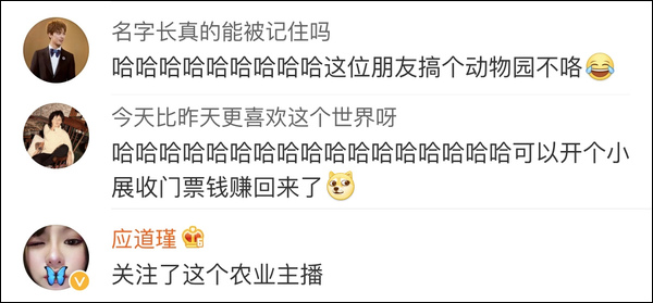 雙11購(gòu)物最荒謬冠軍誕生!男生喝醉后買孔雀娃娃魚