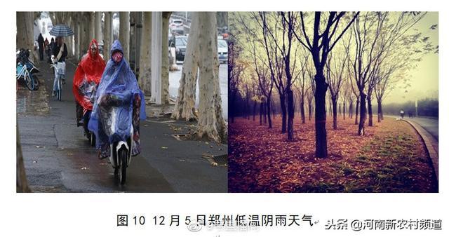 河南十大氣候事件