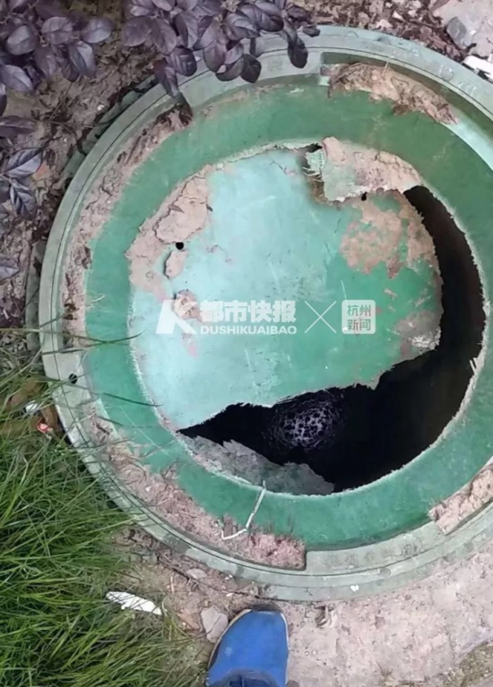 孕婦下車后墜井身亡