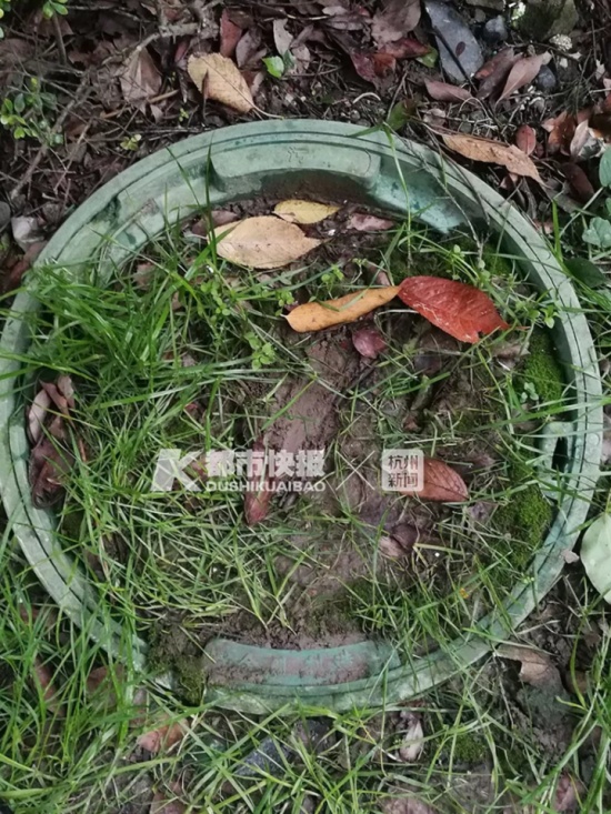 孕婦下車后墜井身亡