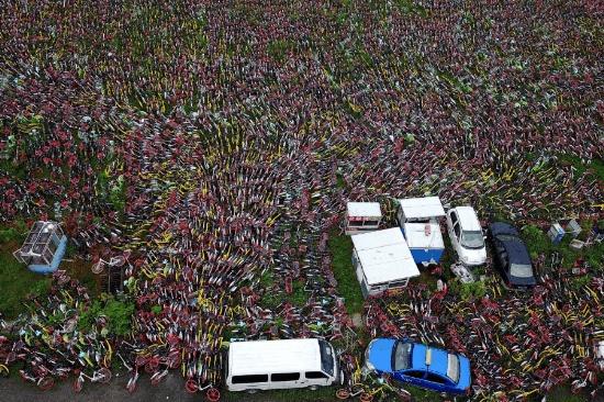 共享單車堆滿農(nóng)田