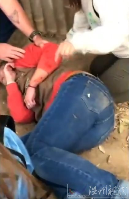 女子與黑豹自拍遭襲擊