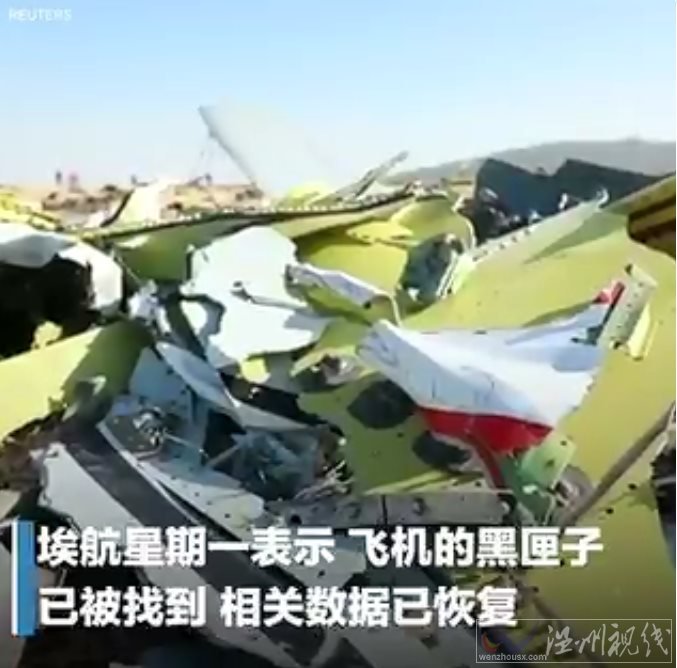 埃航失事客機黑匣子已找到