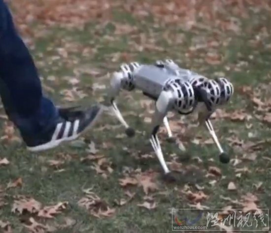 米特的新迷你獵豹機(jī)器人