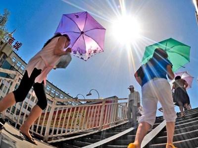 40天加長版三伏天