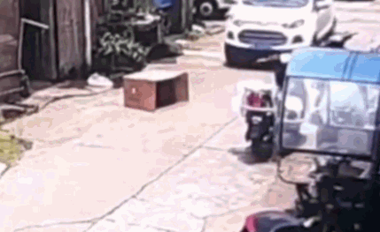 女童鉆紙箱被碾軋