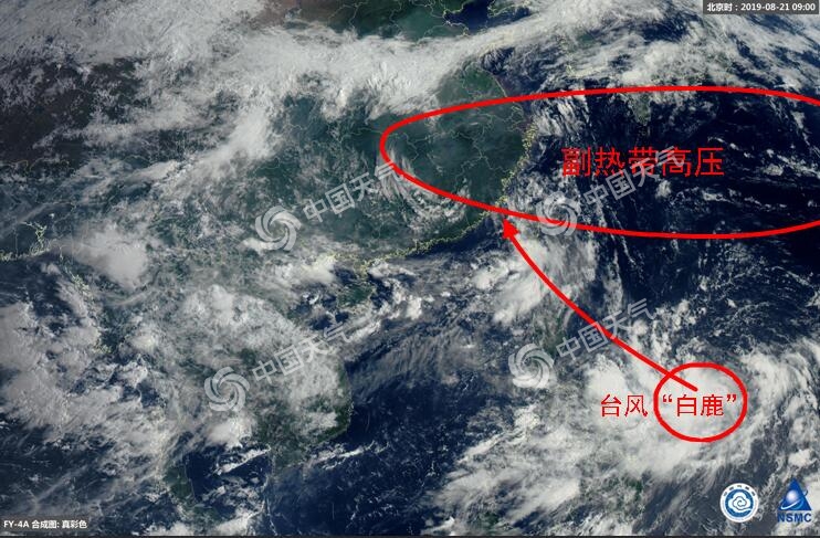 臺風白鹿登陸哪里 11號臺風路徑分析
