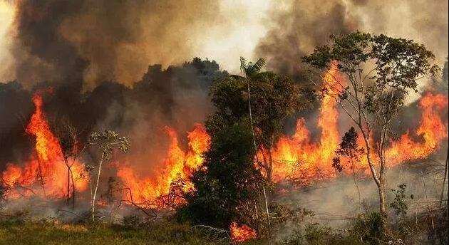 巴西4萬軍人赴亞馬遜滅火