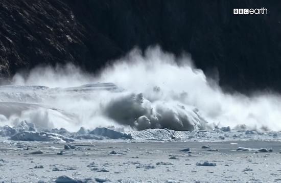 北極熊或將在2100年滅絕