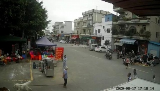 官方通報老人被狗繩絆倒后身亡 屬意外事故