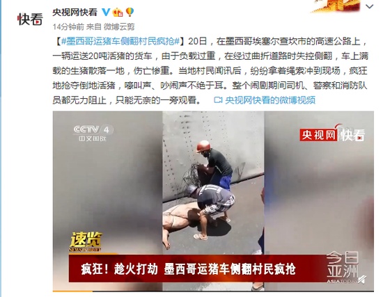 運豬車側翻20噸活豬遭村民瘋搶
