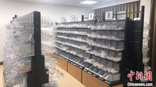 網紅主播直播間賣假貨當場被抓