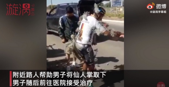 男子騎車失控摔入仙人掌叢