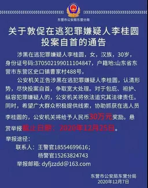 被懸賞30萬的女黑老大心思縝密
