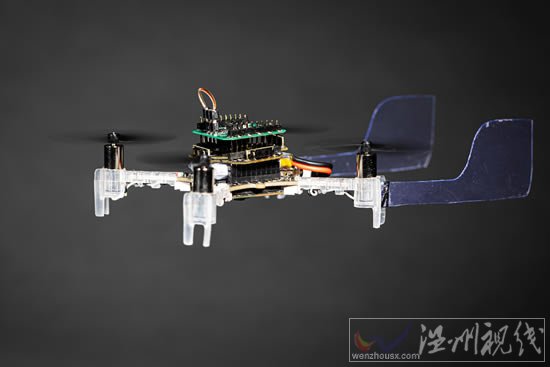 微型無人機(jī)用真正的飛蛾天線嗅出氣味