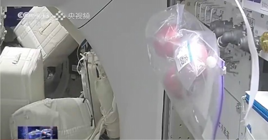 蘋果打敗橙子成為太空水果