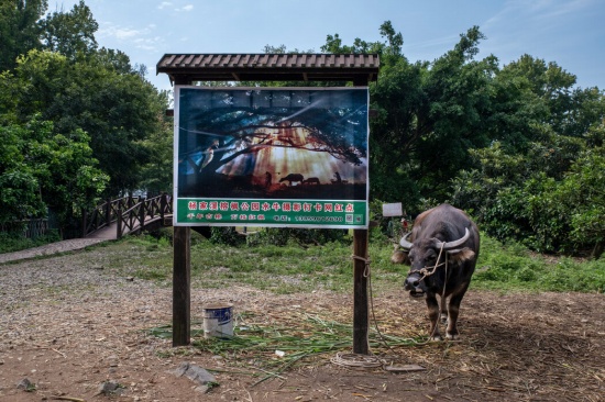 霞浦 中國的網紅“打卡”點和擺拍“圣地”
