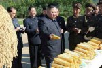 金正恩承認朝鮮嚴重缺糧 1公斤香蕉45美元