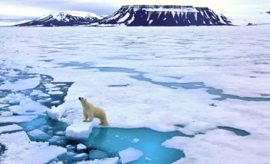 碳排放導致氣候變化,極端高溫變得越來越頻繁。