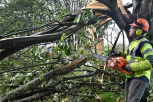 法國(guó)風(fēng)暴極光造成25萬(wàn)多戶(hù)家庭停電