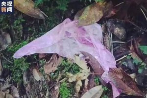 解密哀牢山搜救:當地現強磁場干擾