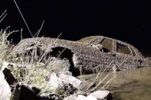 YouTube頻道“探索與Nug”專注于尋找失蹤的財產和人員