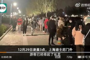 凌晨3點超5000人迪士尼排隊買玩偶