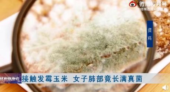 女子接觸霉變玉米后肺部長滿真菌