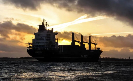 毛里求斯貨船漏油船長被判20個月監禁