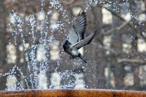 美國(guó)寒潮導(dǎo)致部分學(xué)校停課