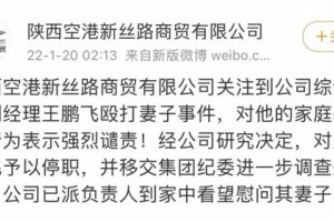 陜西空港新絲路商貿有限公司王鵬飛毆打妻子事件