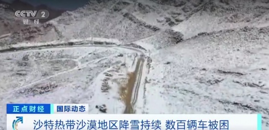 為看雪景 沙特數百輛車堵在路上