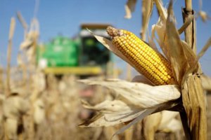 解決全球糧食危機不要將俄羅斯排除在G20之外