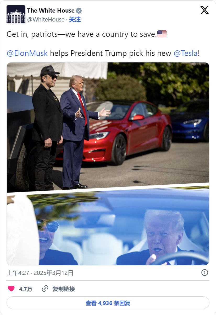 “愛國者們,快進來”:唐納德·特朗普購買特斯拉,伊隆·馬斯克幫他挑選